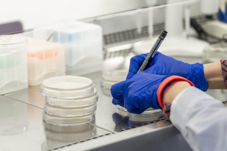 Pathology and Histology Automation Systems